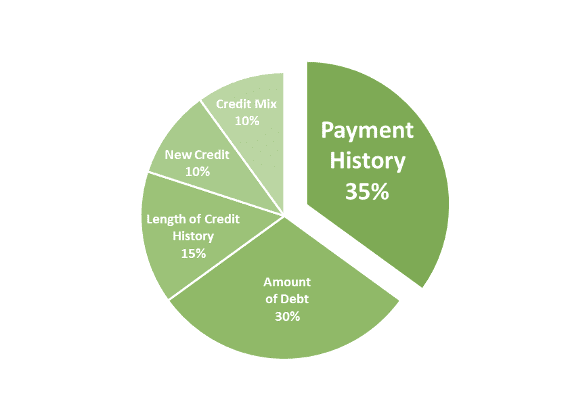 Payment History is 35% of your credit score.